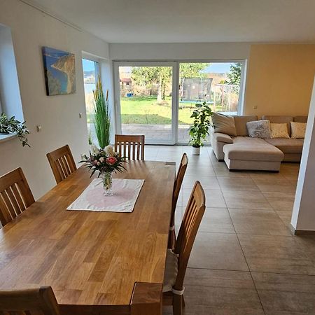 Sehr Schoenes Und Grosses Haus In Dresden - Partys Und Andere Feierlichkeiten Sind Wegen Eventueller Laermbelaestigung Nicht Gestattet Exteriér fotografie
